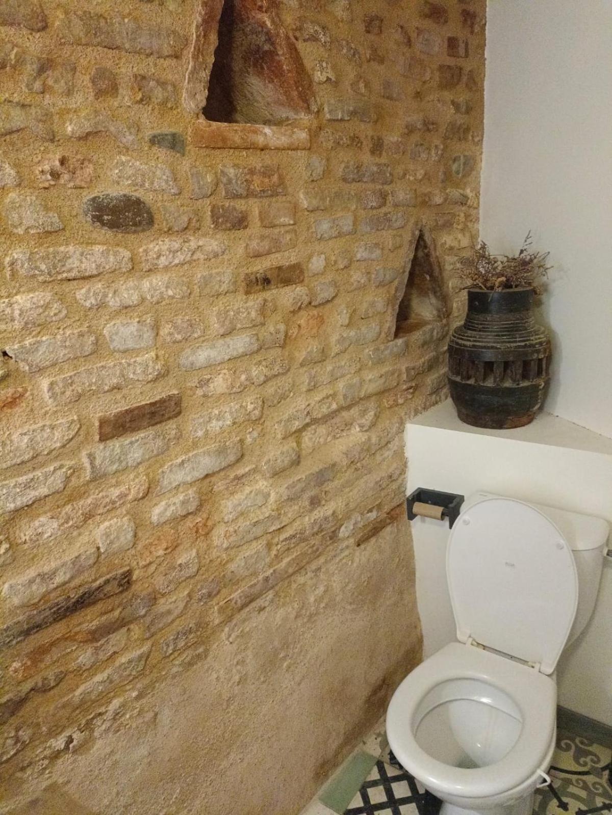 La Lauze Et L'Anguille Bed & Breakfast Gaillac Exterior foto