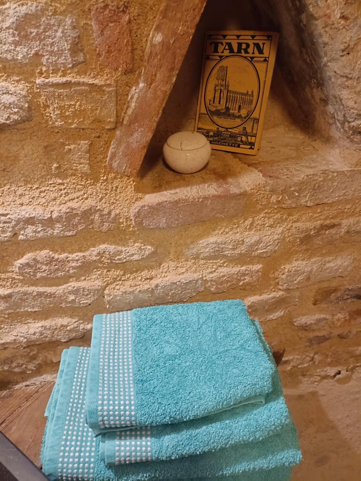 La Lauze Et L'Anguille Bed & Breakfast Gaillac Exterior foto